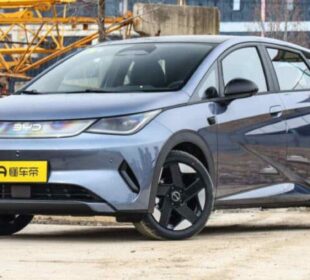 BYD Dolphin híbrido no Brasil: lançamento em 2026
