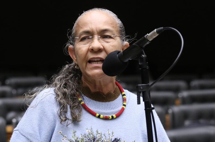 Rede vai ao STF para barrar venda de mineradora de terras raras aos EUA