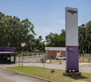 Raízen RAIZ4 negociações credores sem definição