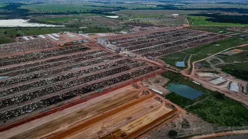 Júnior Friboi compra fazenda Conforto, uma das maiores de confinamento